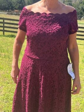 City Studio NWT   Burgundy  Lace High Low Dress Size 16W